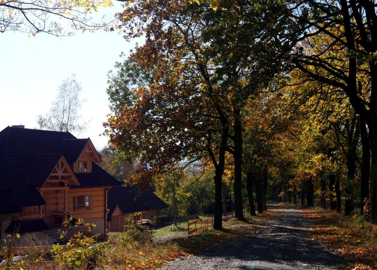 Lądek-Zdrój Osada Sudeckaヴィラ エクステリア 写真