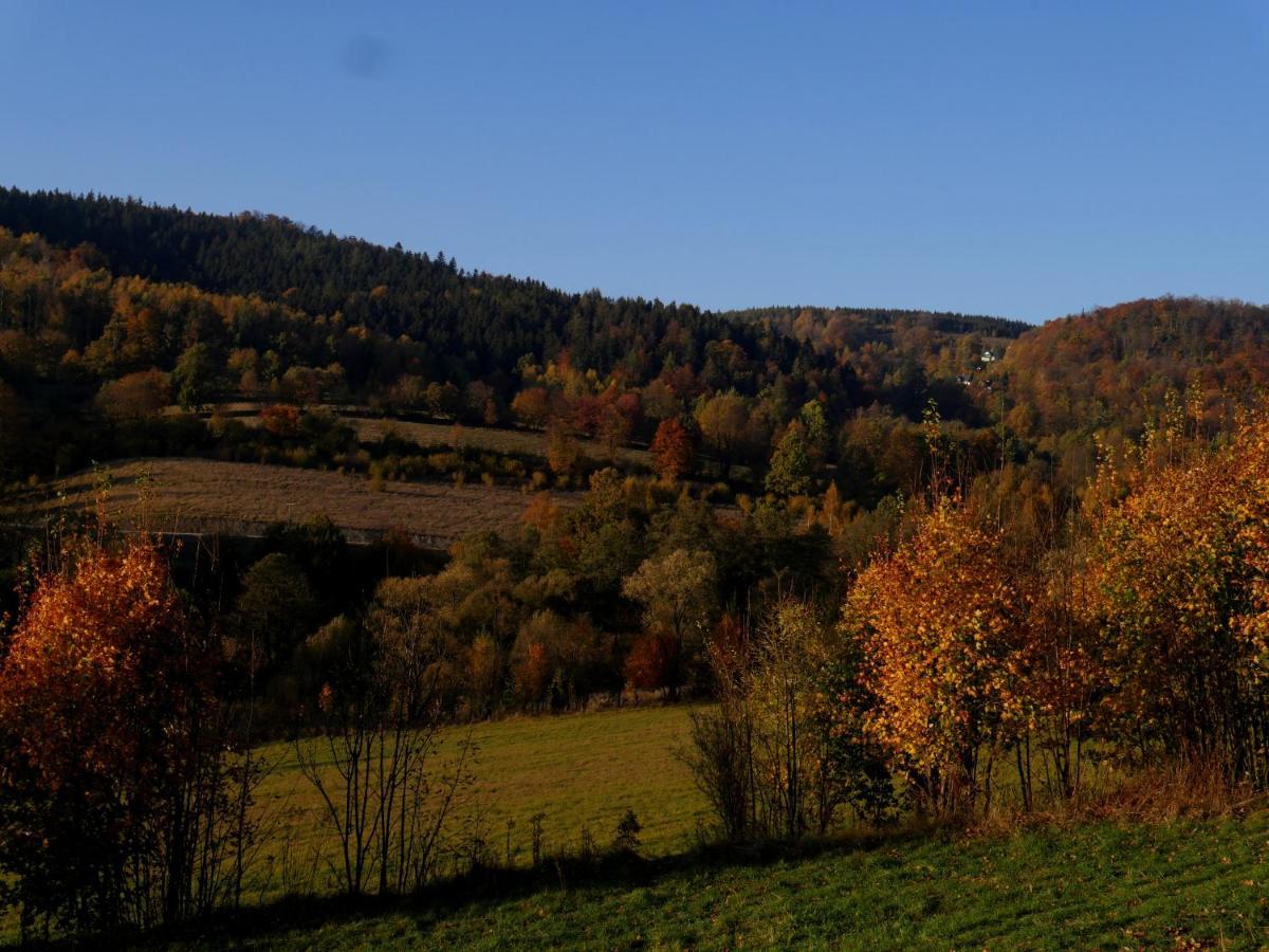 Lądek-Zdrój Osada Sudeckaヴィラ エクステリア 写真